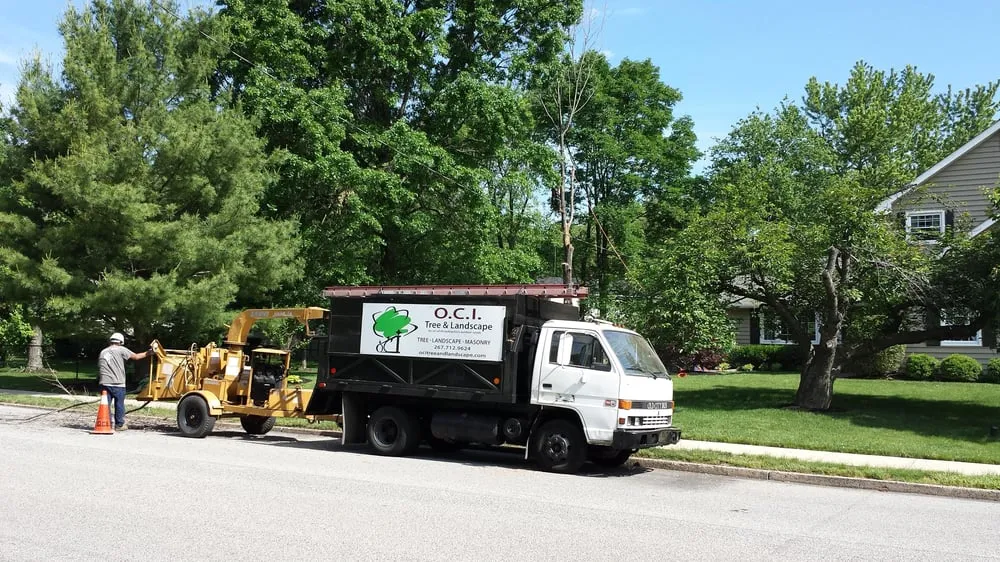 Professional yard maintenance for outdoor upgrades in Philadelphia, PA by OCI Tree And Landscaping