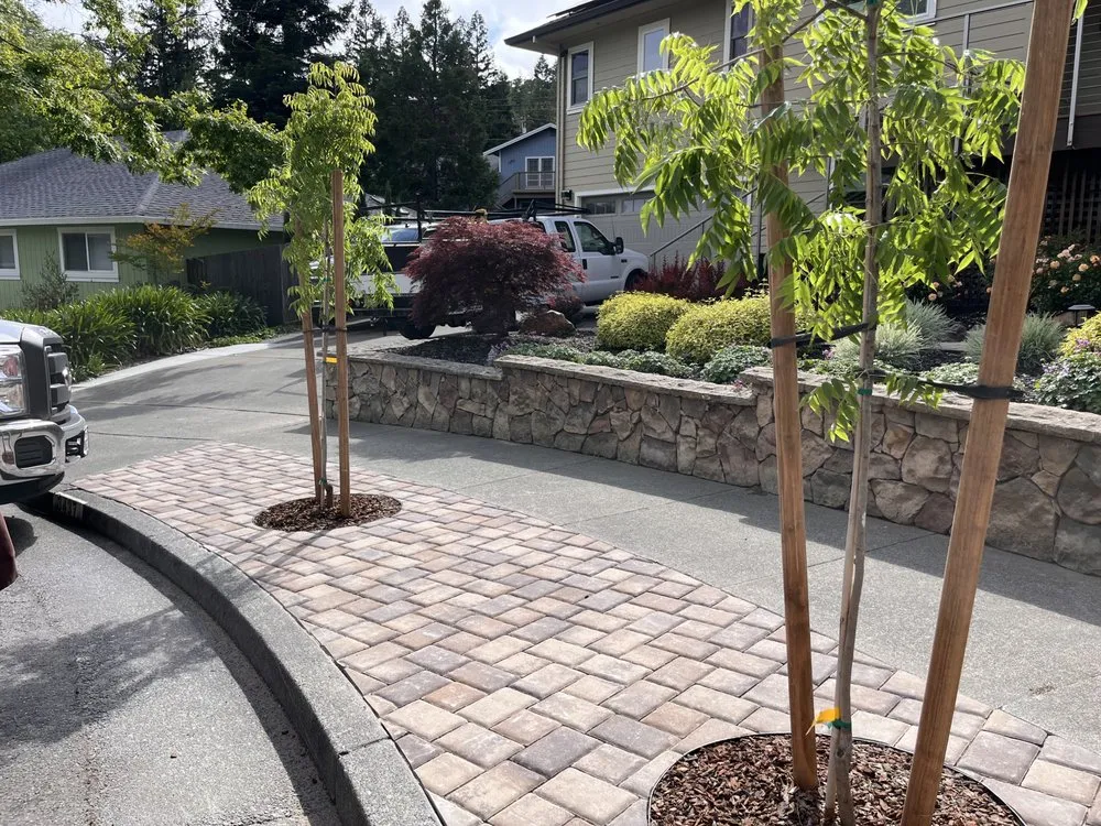 Top-rated yard cleanup service for residential properties across Petaluma, CA - OCL Landscaping