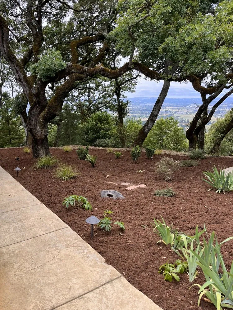 Affordable landscaping services in Petaluma, CA by OCL Landscaping