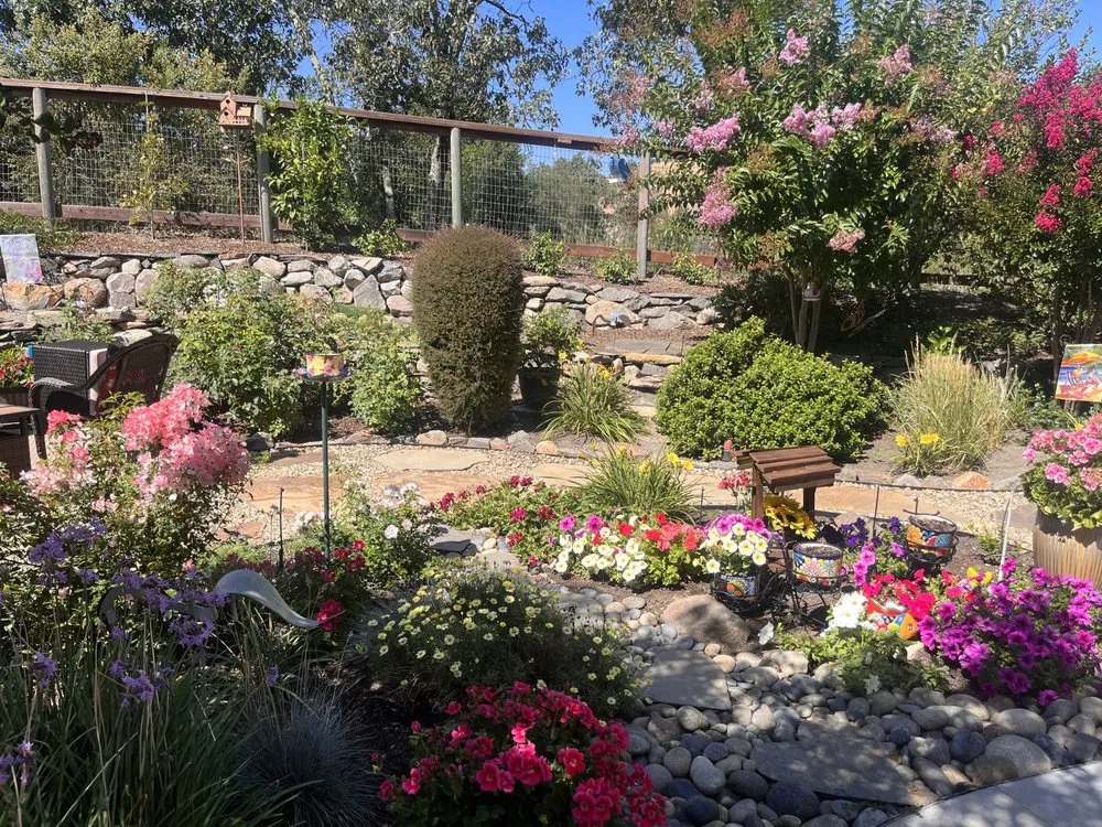 Professional yard cleanup service in Petaluma, CA by OCL Landscaping