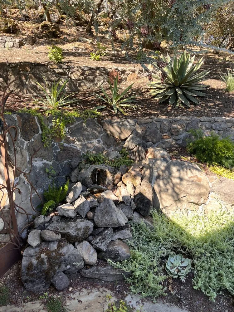 Trusted yard maintenance experts serving Petaluma, CA - OCL Landscaping