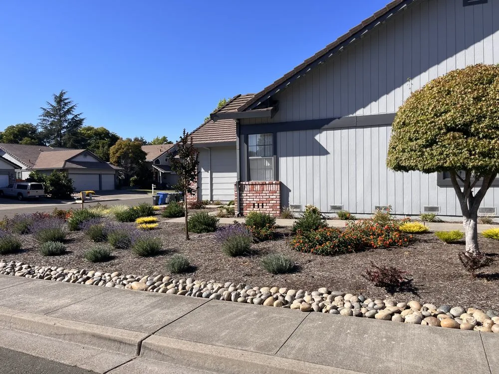 Trusted yard cleanup service for outdoor upgrades in Petaluma, CA by OCL Landscaping