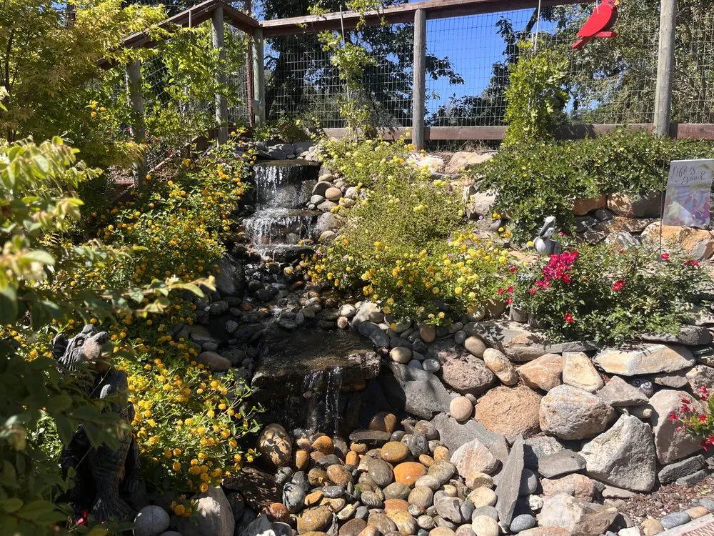 Trusted lawn mowing service in Petaluma, CA - OCL Landscaping