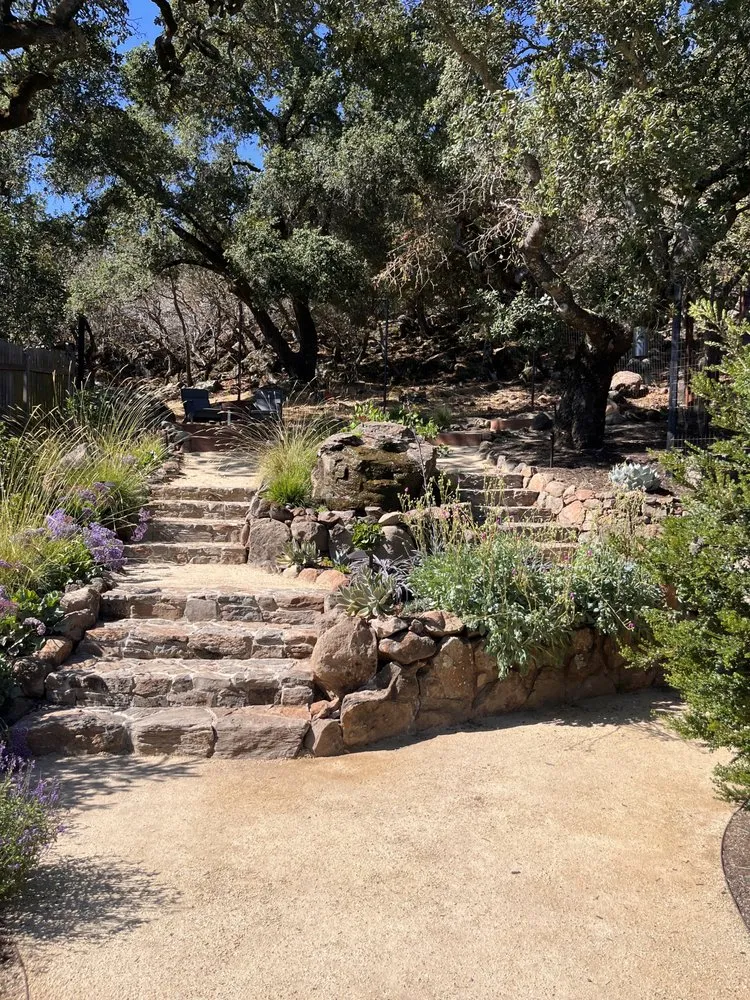Expert landscaping services experts serving Petaluma, CA - OCL Landscaping