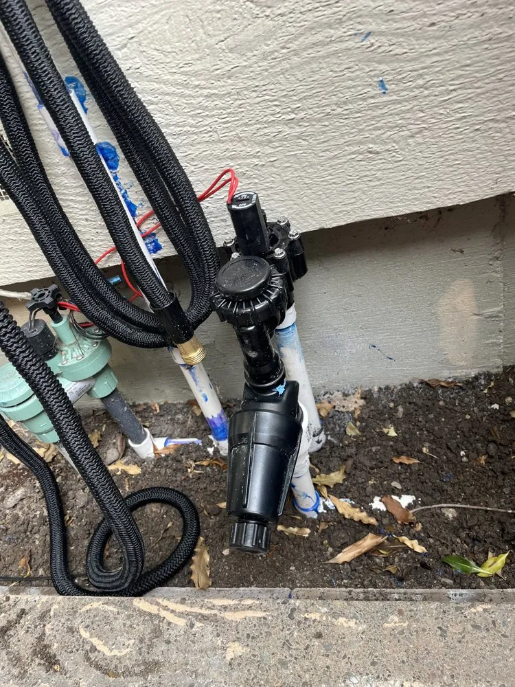 Professional lawn mowing service for year-round maintenance across Petaluma, CA - O.C.O. Landscaping