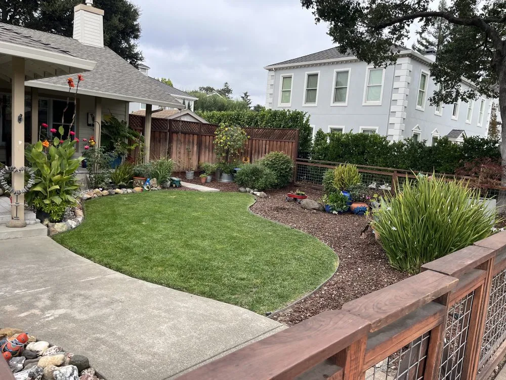 Top-rated yard maintenance experts serving Petaluma, CA - O.C.O. Landscaping