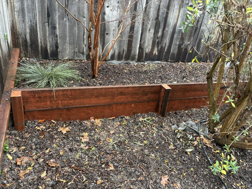 Trusted yard cleanup service experts serving Petaluma, CA - O.C.O. Landscaping