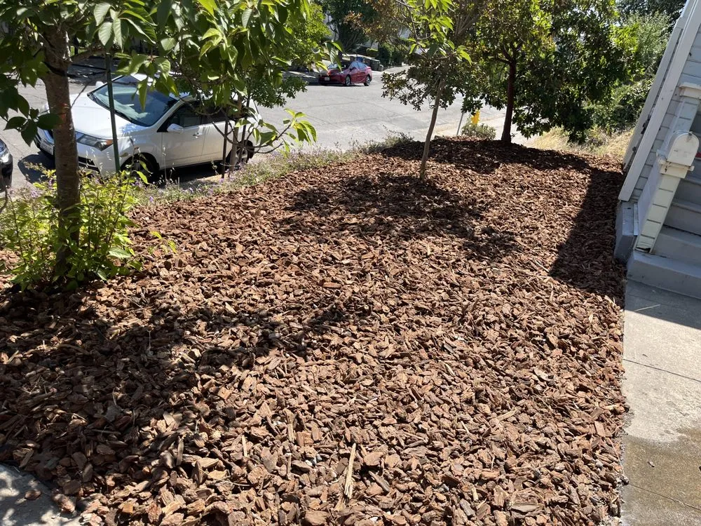 Trusted outdoor landscaping near you across Petaluma, CA - O.C.O. Landscaping