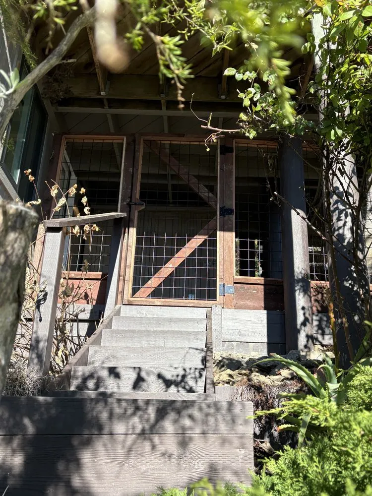 Trusted lawn mowing service experts serving Petaluma, CA - O.C.O. Landscaping