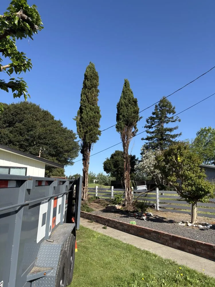 Expert lawn care service in Petaluma, CA by O.C.O. Landscaping