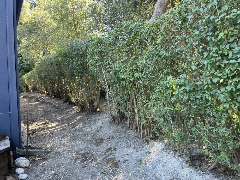 Trusted garden landscaping for homes in Petaluma, CA by O.C.O. Landscaping