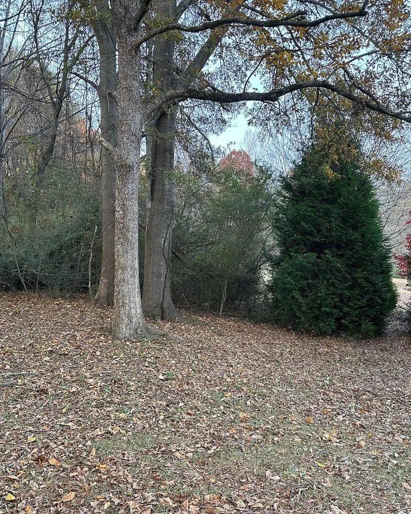 Custom garden landscaping in Walhalla, SC - Oconee Roots Lawn Care