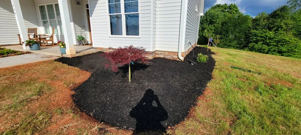 Trusted outdoor landscaping in Walhalla, SC - Oconee Roots Lawn Care