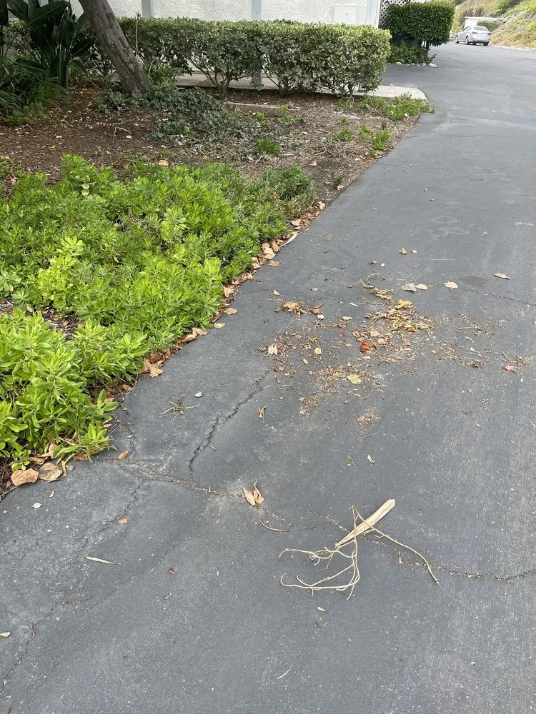 Trusted lawn care service near you in Rancho Santa Margarita, CA by O'Connell Landscape Maintenance