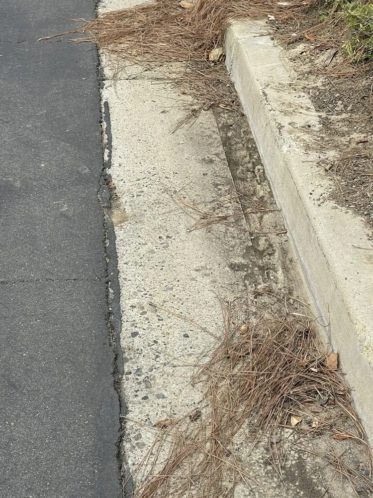 Expert garden landscaping in Rancho Santa Margarita, CA - O'Connell Landscape Maintenance