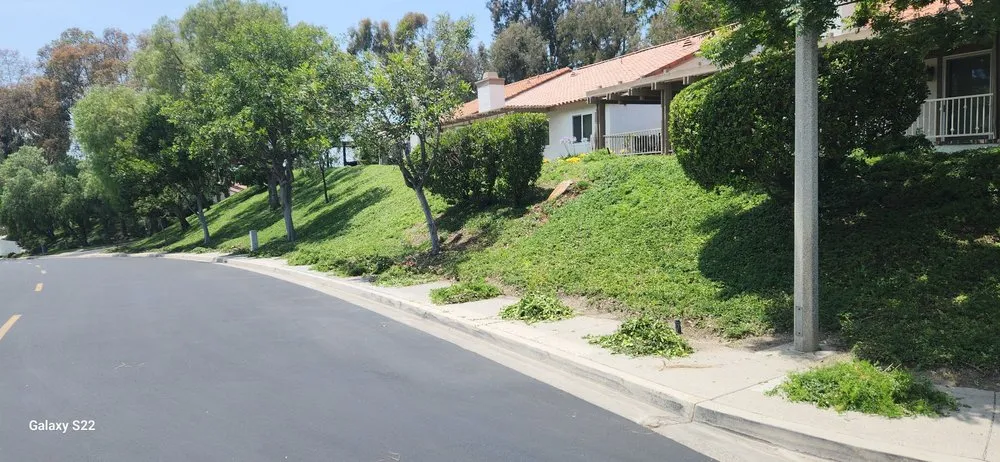 Expert landscape installation for residential properties in Rancho Santa Margarita, CA by O'Connell Landscape Maintenance