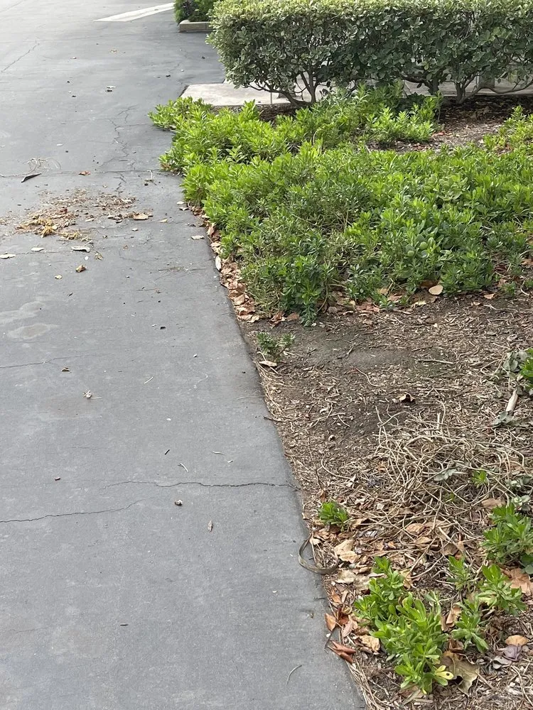 Affordable landscape design in Rancho Santa Margarita, CA by O'Connell Landscape Maintenance