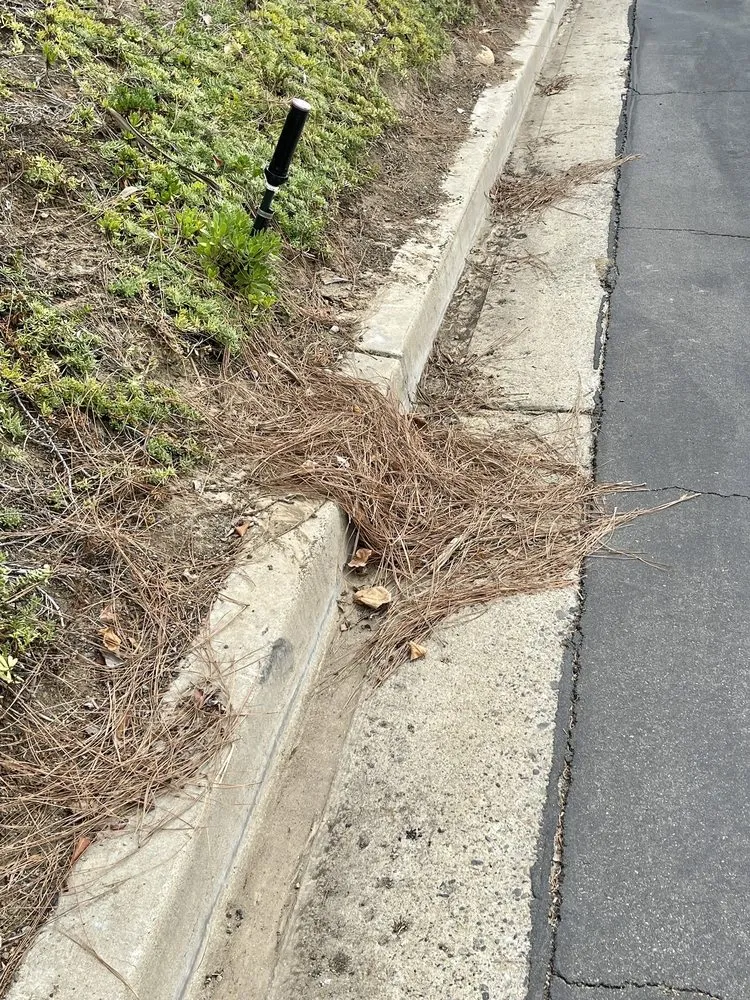 Professional garden landscaping in Rancho Santa Margarita, CA by O'Connell Landscape Maintenance