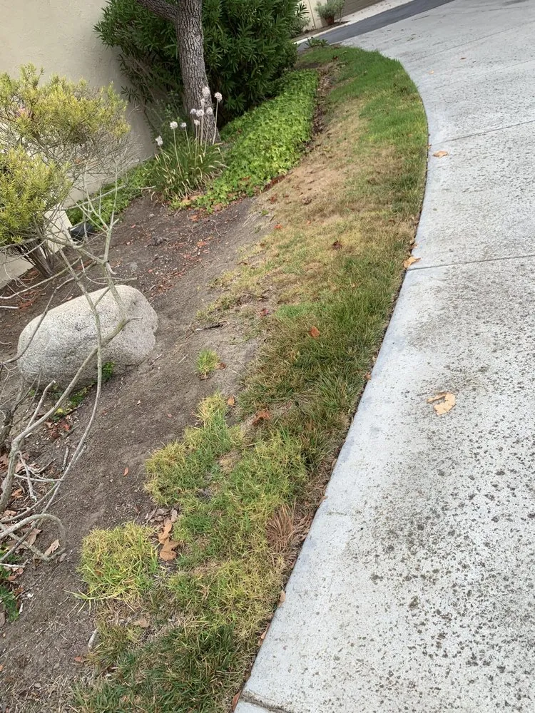 Trusted landscaping services near you across Rancho Santa Margarita, CA - O'Connell Landscape Maintenance