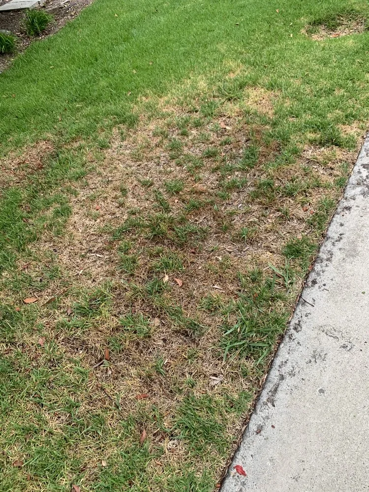 Local outdoor landscaping for beautiful yards across Rancho Santa Margarita, CA - O'Connell Landscape Maintenance