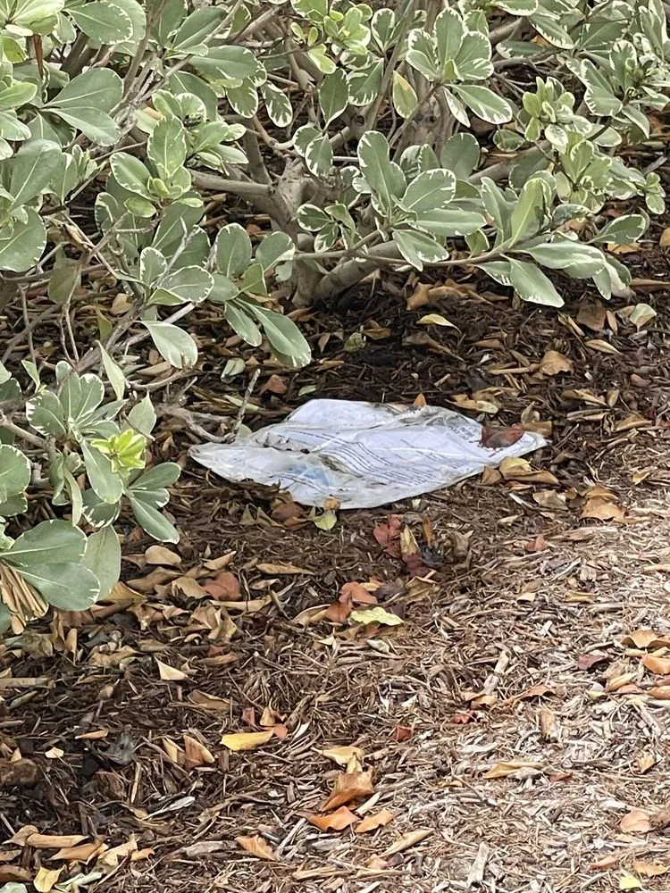 Affordable garden landscaping in Rancho Santa Margarita, CA - O'Connell Landscape Maintenance