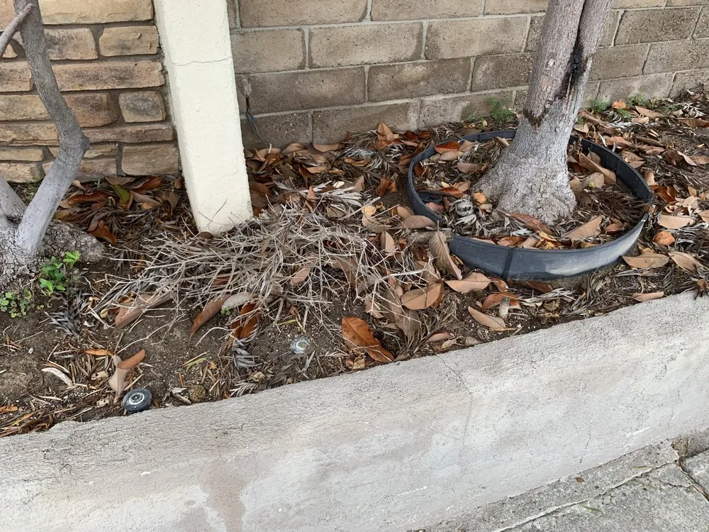 Top-rated garden landscaping experts serving Rancho Santa Margarita, CA - O'Connell Landscape Maintenance