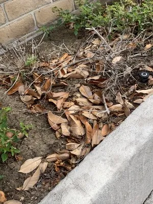 O'Connell Landscape Maintenance