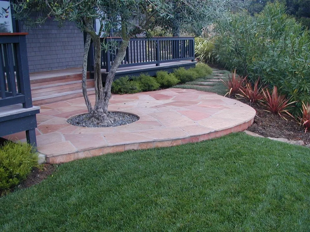 Professional yard maintenance for residential properties across Petaluma, CA - O'Connell Landscape