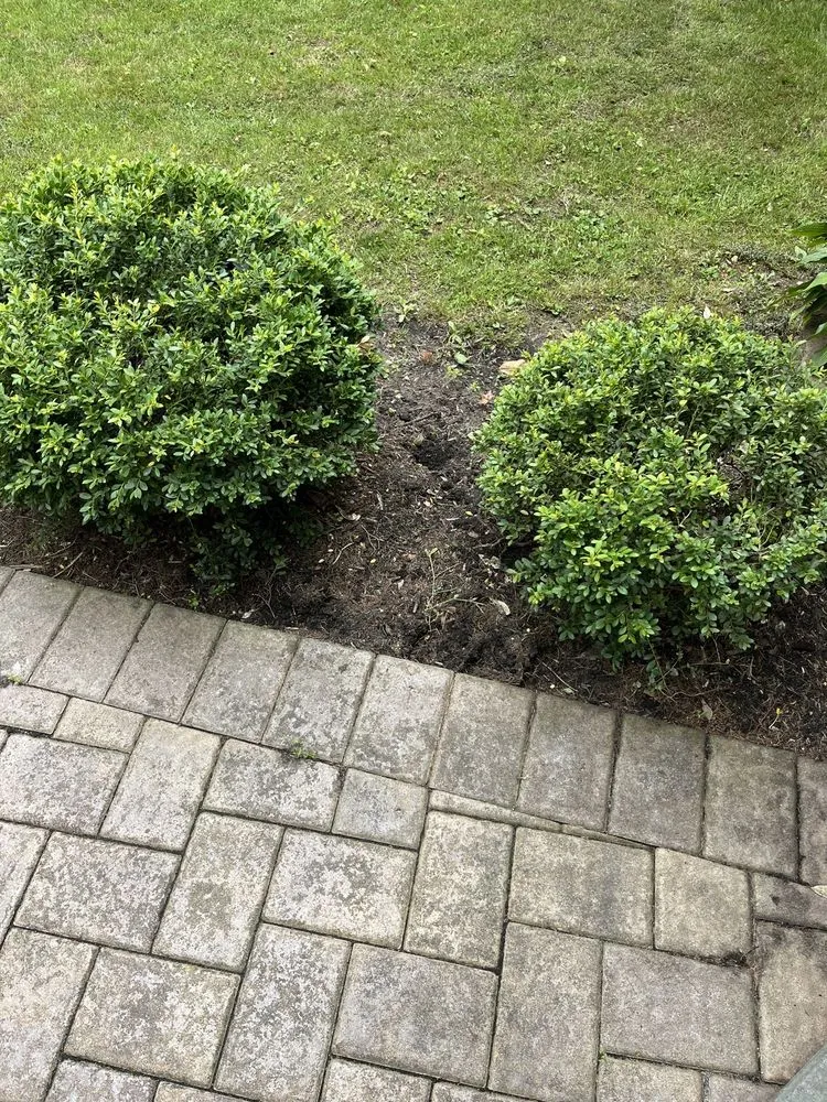 Top-rated residential landscaping near you across Holtsville, NY - O'connell Landscaping