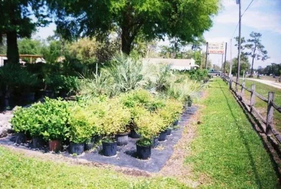 Top-rated landscape installation experts serving Homosassa, FL - O'Connell's Landscaping & Nursery