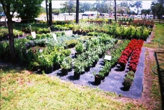 Custom yard cleanup service experts serving Homosassa, FL - O'Connell's Landscaping & Nursery