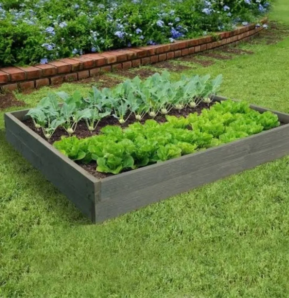 Reliable landscaping services in Rohnert Park, CA - O'Connors Yard Services