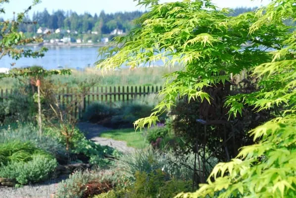 Octavia Chambliss Garden Design