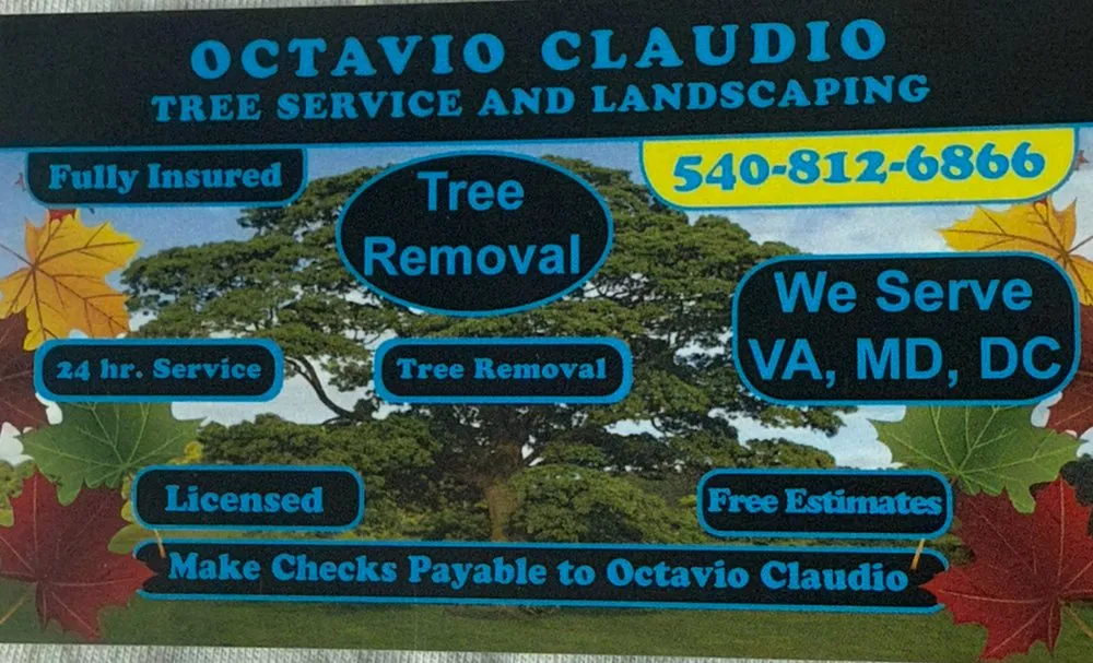 Affordable landscaping services near you across Bethesda, MD - Octavio Claudio Tree Service And Landscaping