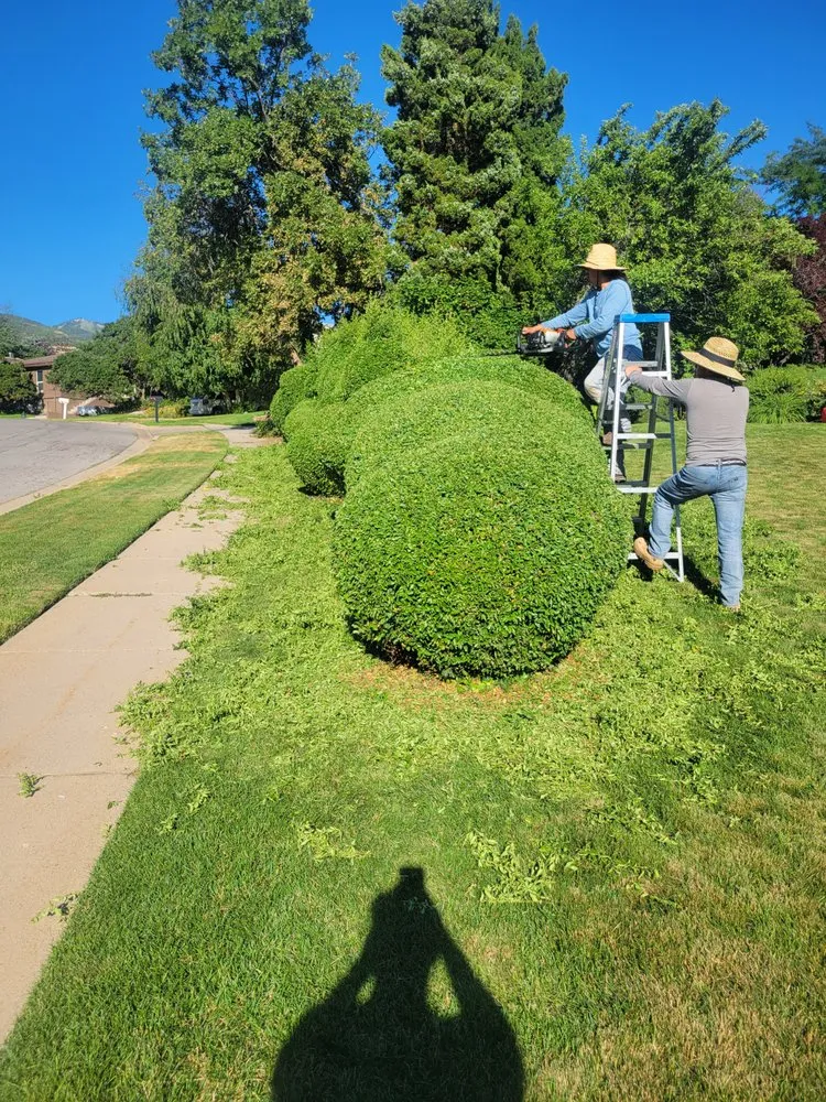 Expert landscaping services with custom design in Salt Lake City, UT by Octavios Landscaping