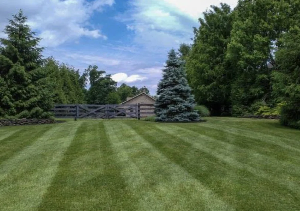 Professional lawn care service for beautiful yards in Lenox Dale, MA by October Mountain Lawn & Landscape