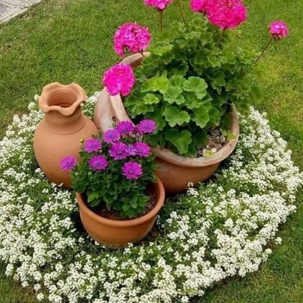 Local landscape installation in Tallahassee, FL - Octopus Hands