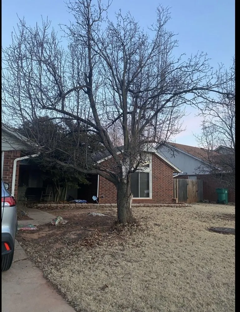 Top-rated lawn care service for homes across Edmond, OK - ODaniel Landscaping