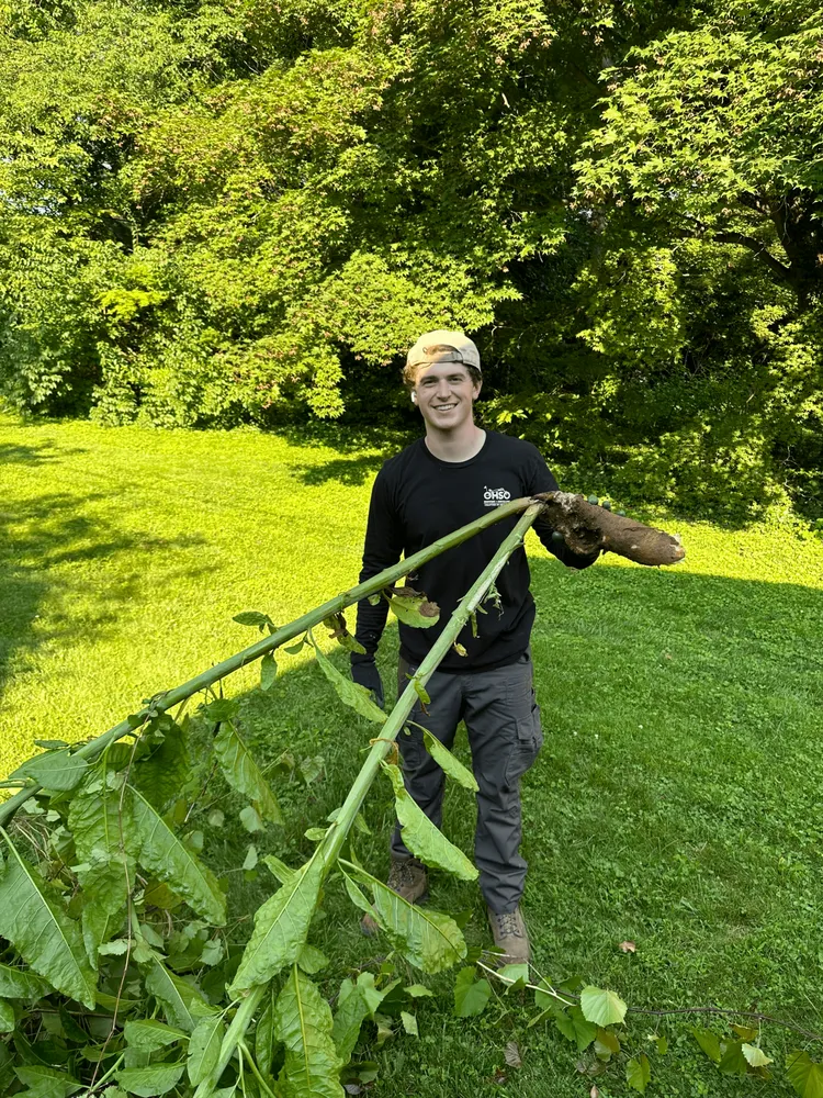 Affordable yard cleanup service in Wilmington, DE by Odd Job Genie