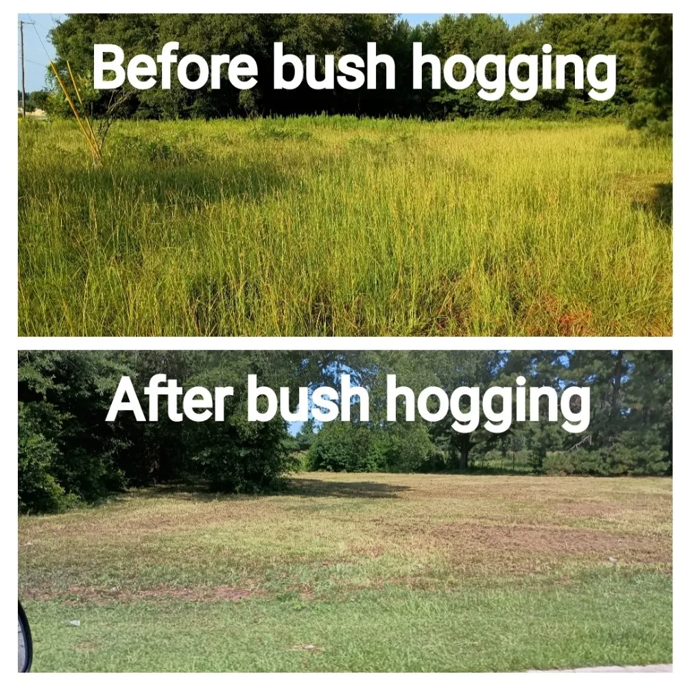 Trusted landscaping services in Orangeburg, SC by Odd Job Jimmys