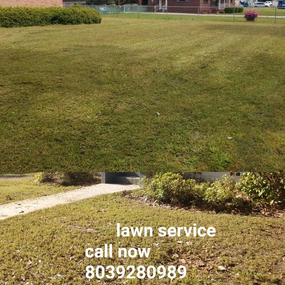 Custom lawn care service for outdoor upgrades across Orangeburg, SC - Odd Job Jimmys