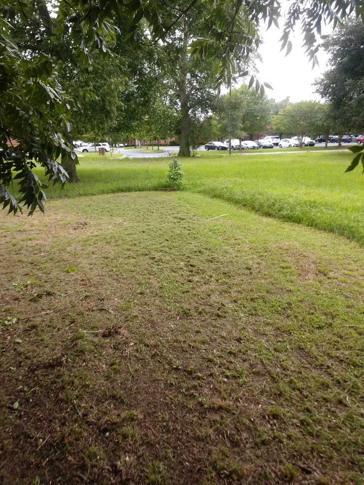 Top-rated garden landscaping for outdoor upgrades in Orangeburg, SC by Odd Job Jimmys