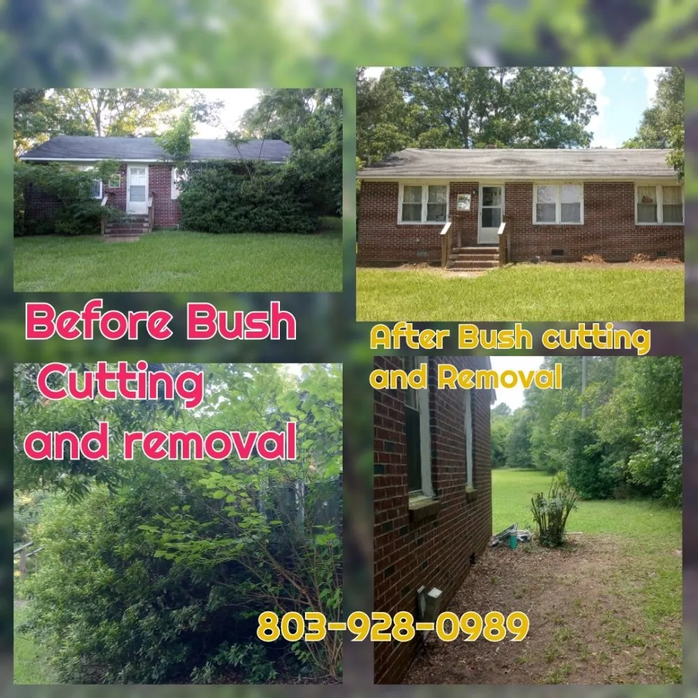 Trusted residential landscaping in Orangeburg, SC by Odd Job Jimmys