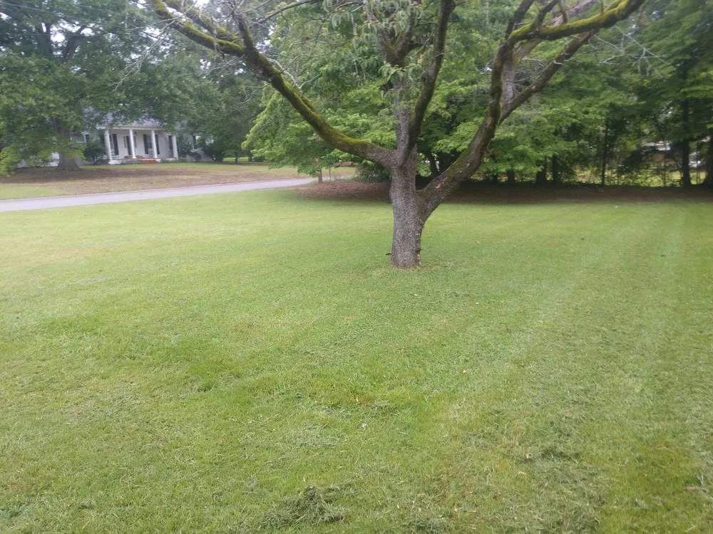 Trusted landscaping services for year-round maintenance across Orangeburg, SC - Odd Job Jimmys