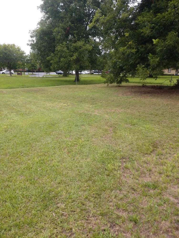 Affordable outdoor landscaping in Orangeburg, SC by Odd Job Jimmys