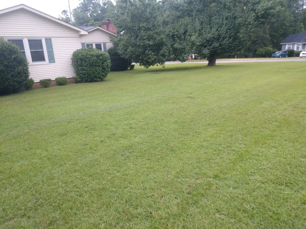 Local lawn care service in Orangeburg, SC by Odd Job Jimmys