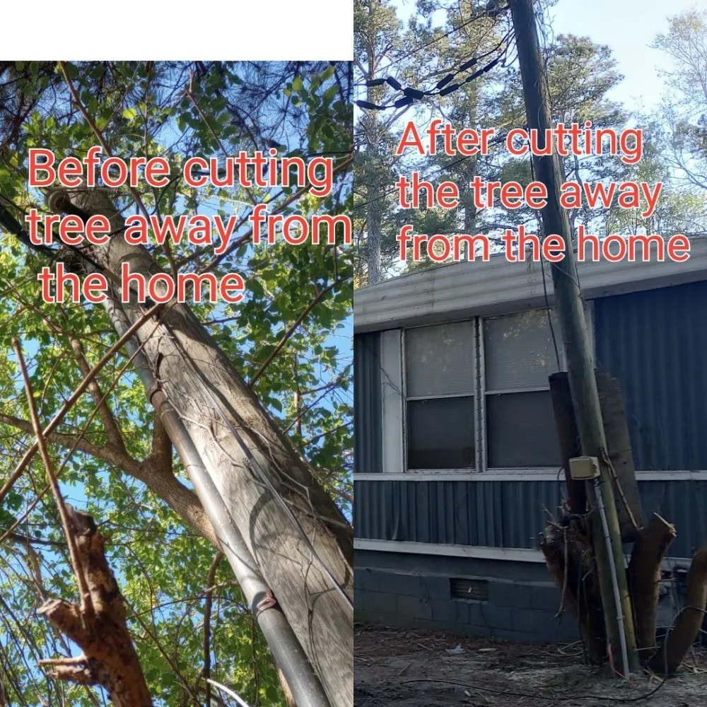 Local outdoor landscaping for year-round maintenance in Orangeburg, SC by Odd Job Jimmys