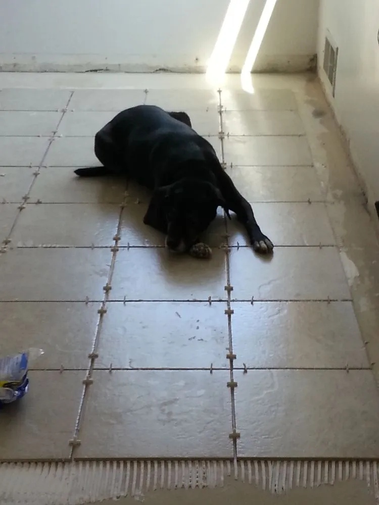 Expert lawn mowing service in Milwaukee, WI by Odd Job Todd