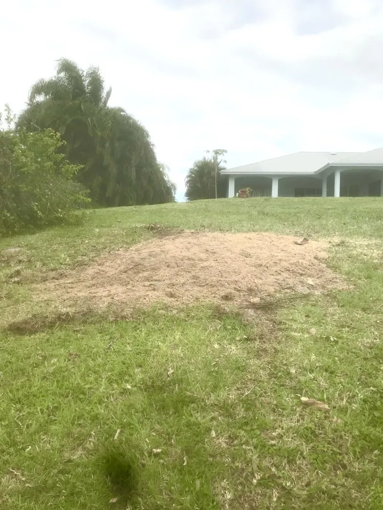 Reliable landscaping services for homes in Indiantown, FL by Oddie’s Landscaping Management