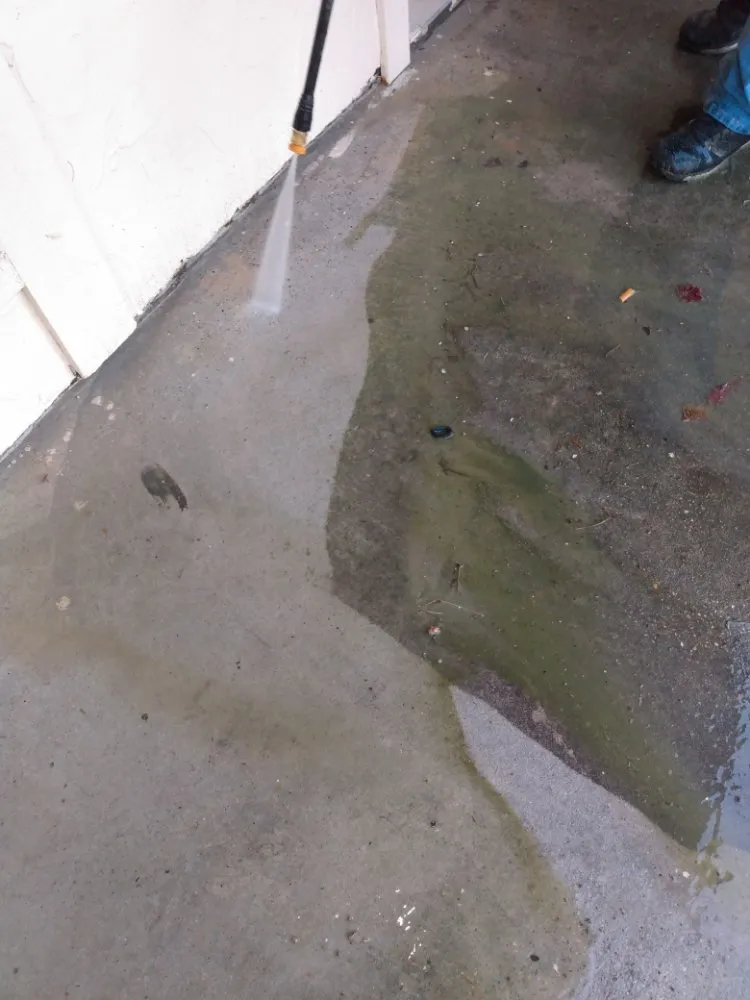 Local landscape installation for year-round maintenance across Spring, TX - OddJawbz